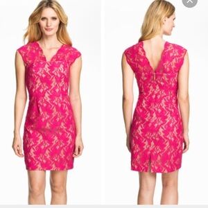 Donna Ricco Pink/Nude Sheath dress